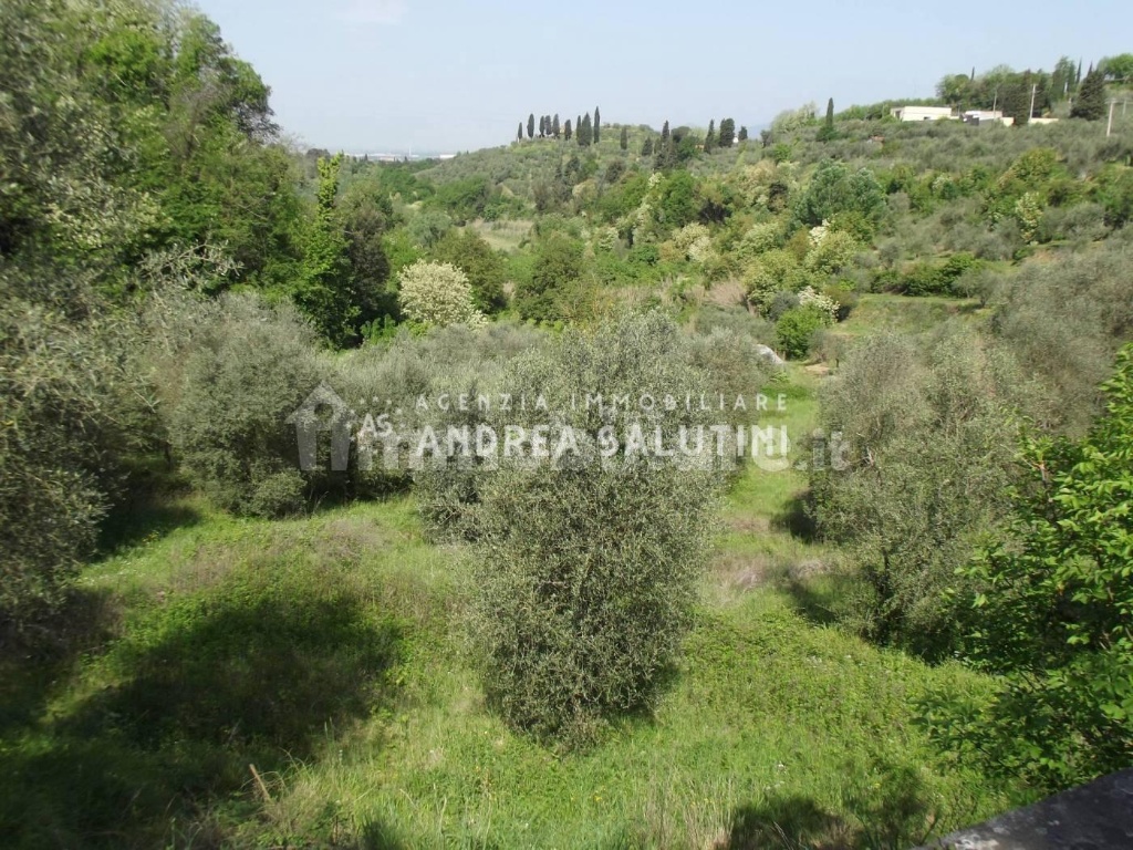 Terreni Agricoli In Vendita A Pontedera