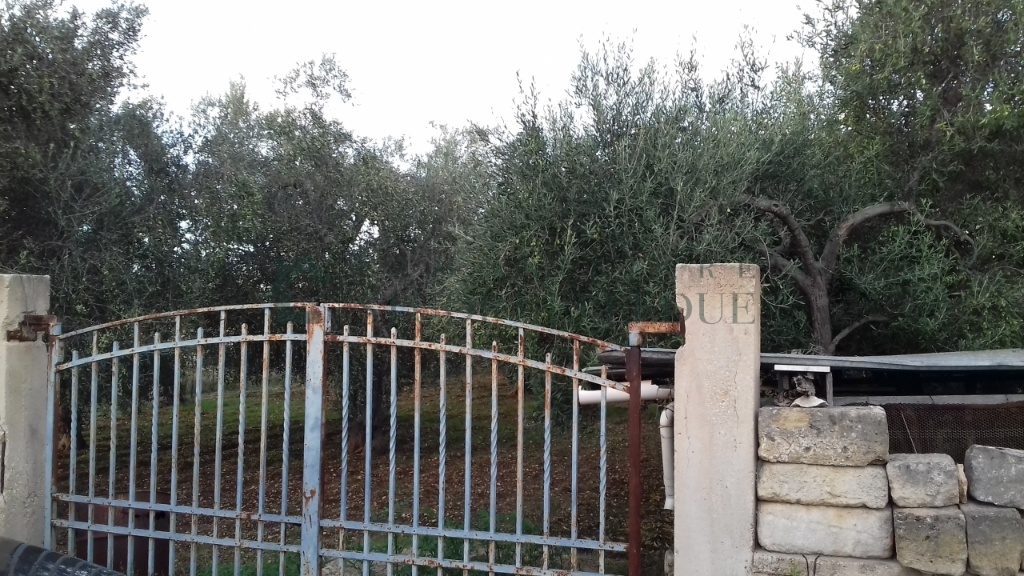 terreno agricolo in vendita a Bitetto