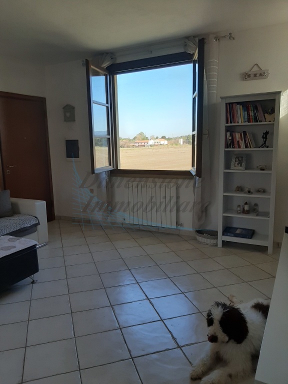 appartamento in vendita a Rosignano Marittimo in zona Vada