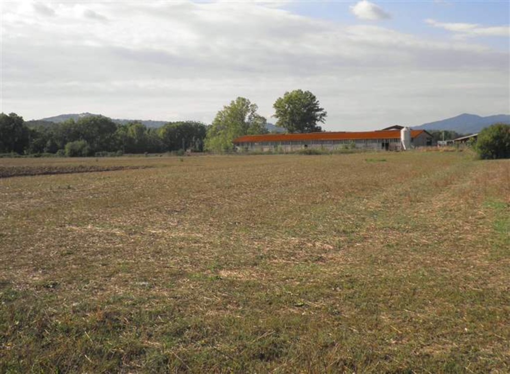 Annesso agricolo a Montecatini Val di Cecina, 600 m² in vendita
