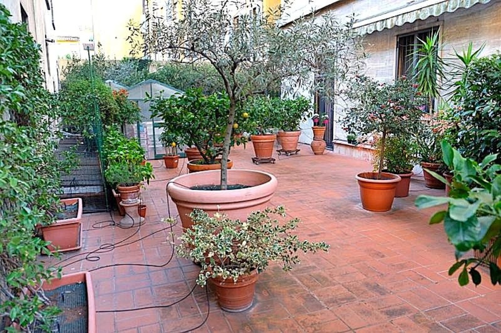 Appartamento in Via Gino Capponi (pressi), Firenze, 6 locali, 2 bagni