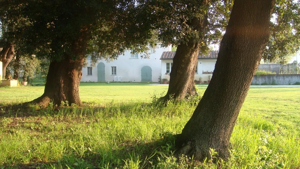 Rustico a Pisa, 8 locali, 3 bagni, giardino privato, 365 m² in vendita