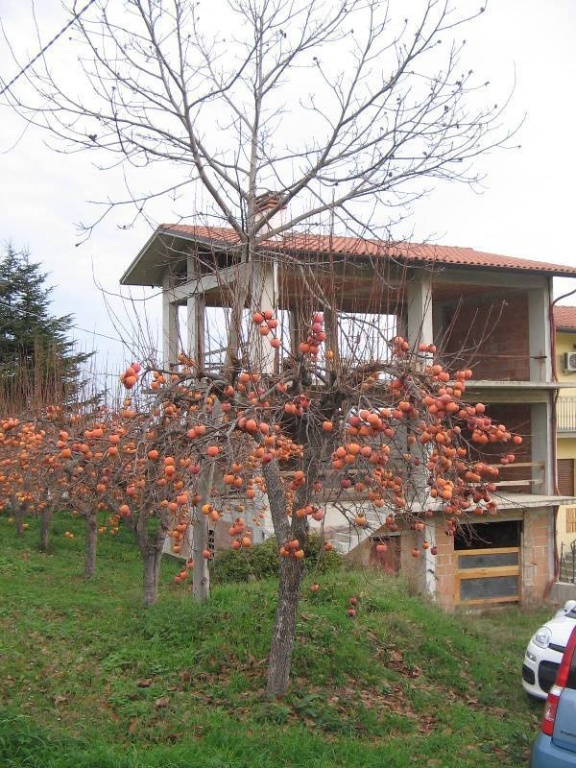 Villa a schiera a San Martino sulla Marrucina, 6 locali, 3 bagni