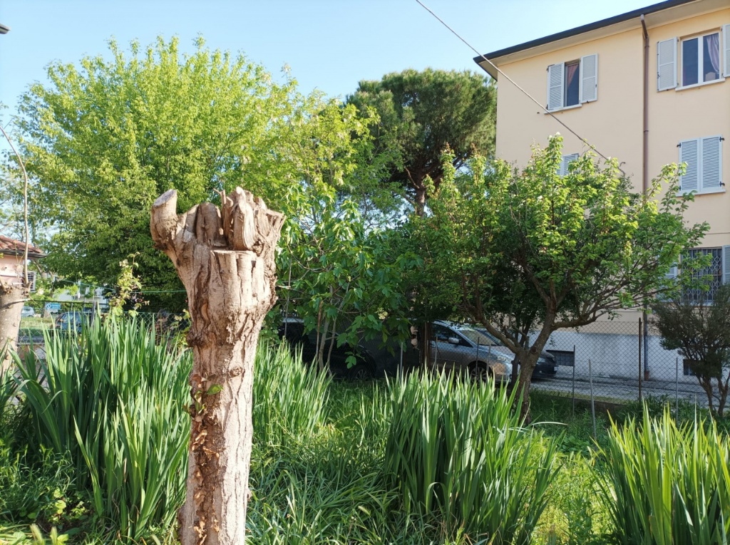 Casa affiancata in Via gorizia, Ravenna, 8 locali, 4 bagni, 200 m²
