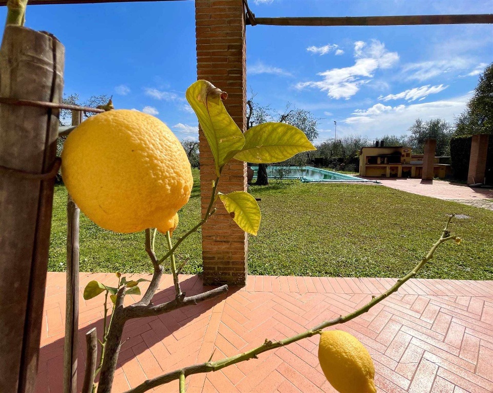 Villa a Calci, 14 locali, 5 bagni, giardino privato, posto auto