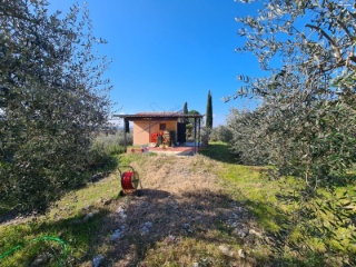 11 Terreni Agricoli in Vendita a Arezzo