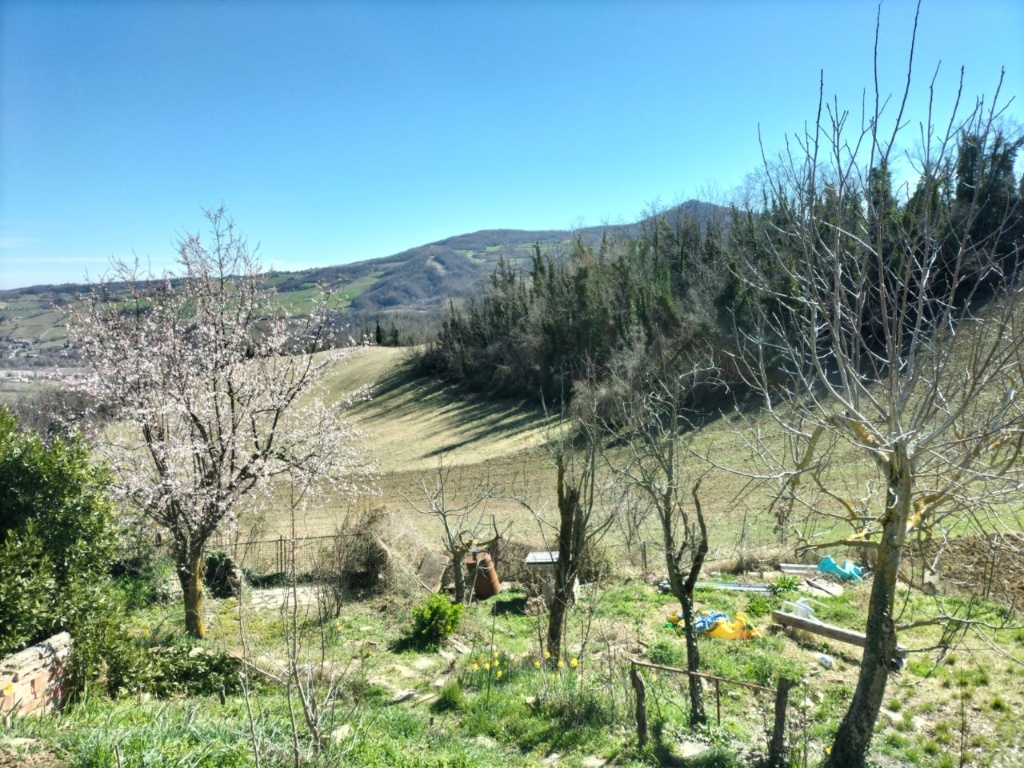 Rustico a Vigolzone, 4 locali, 3 bagni, 120 m², 1° piano in vendita