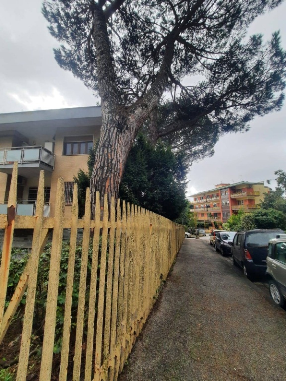Appartamento in Via Domenico Fontana, Napoli, 6 locali, 3 bagni