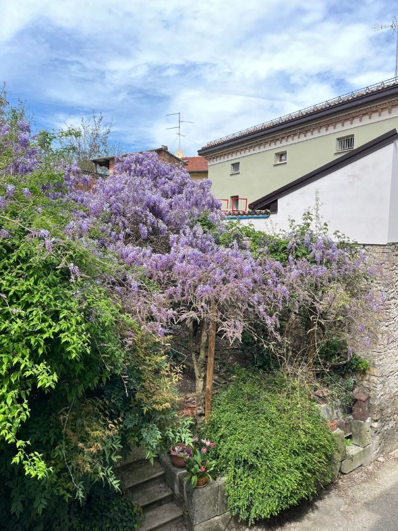 Casa semindipendente in Via le Valli, Collecchio, 3 locali, 2 bagni