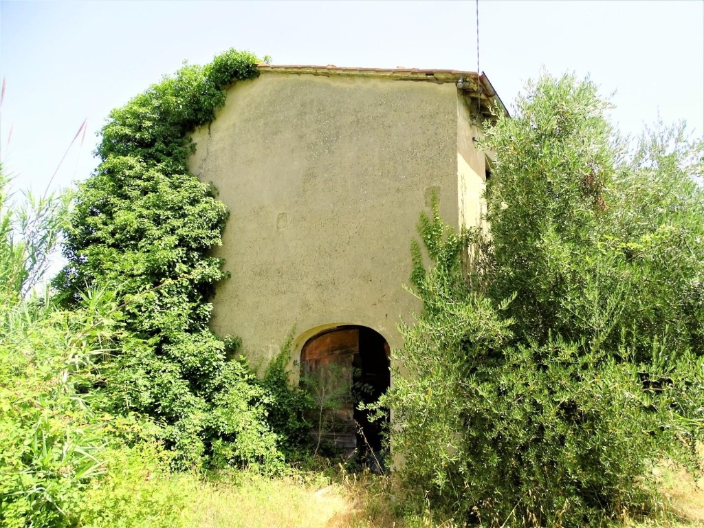 immagine annuncio 0 di 1
