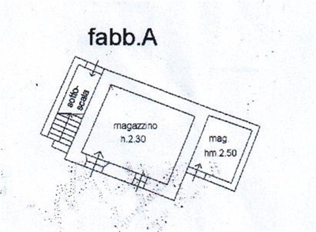 immagine annuncio 1 di 7