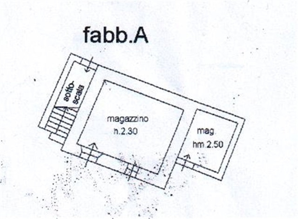 immagine annuncio 4 di 7
