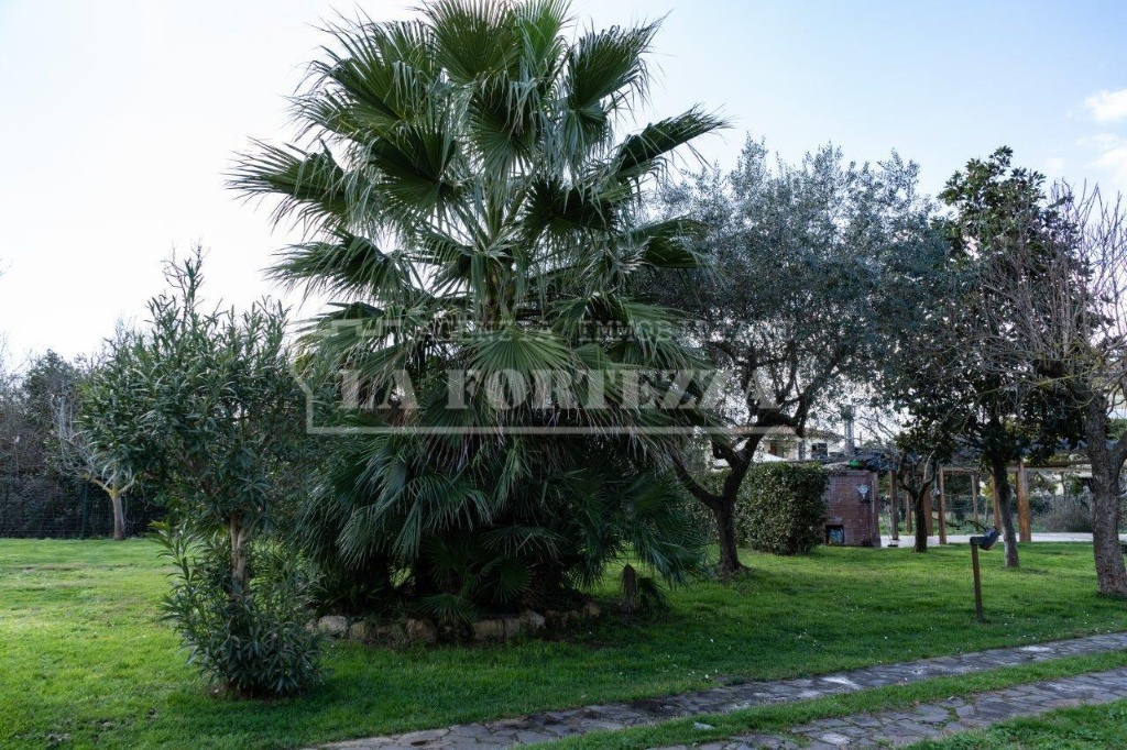 Casa singola a Pisa, 6 locali, 3 bagni, giardino privato, 150 m²