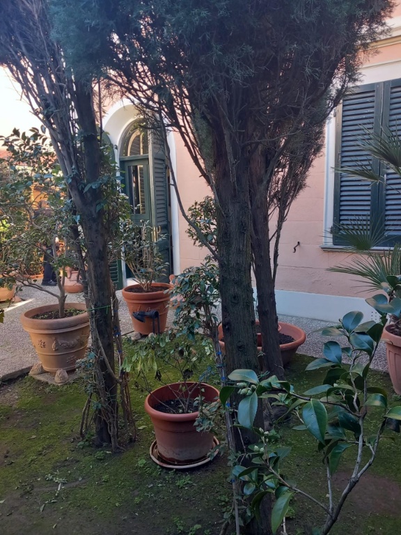 Villetta bifamiliare a Pisa, 8 locali, 4 bagni, giardino privato