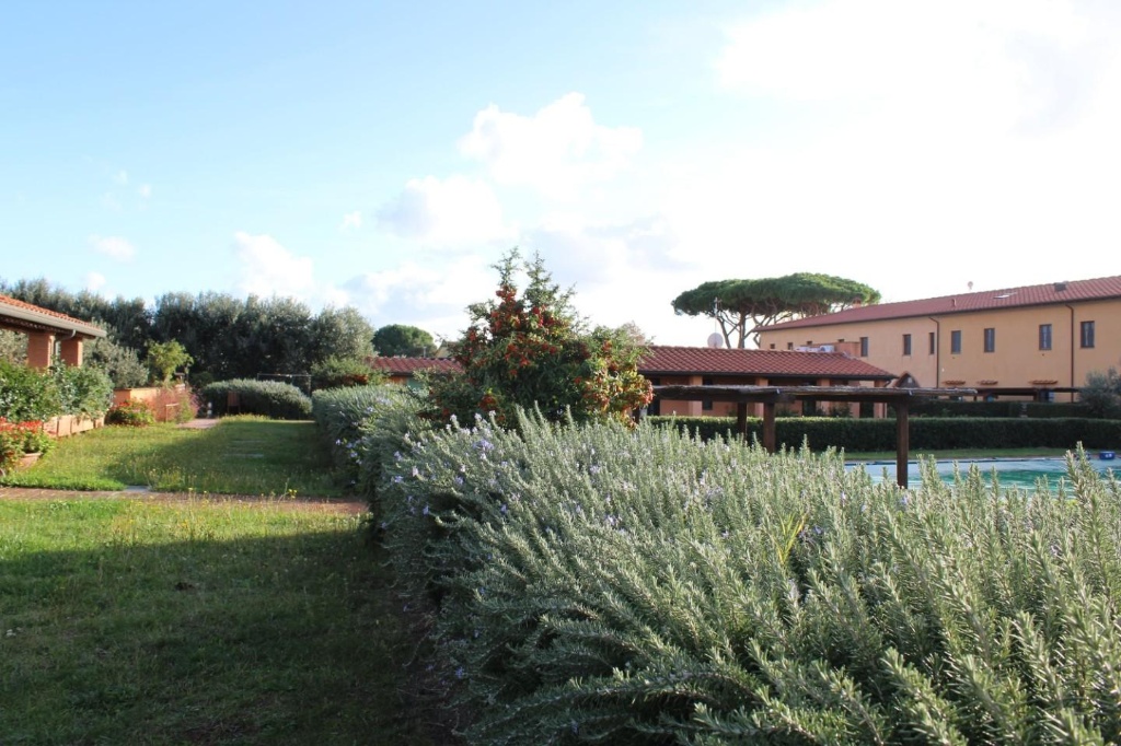 Bilocale a San Vincenzo, 1 bagno, giardino privato, posto auto, 40 m²