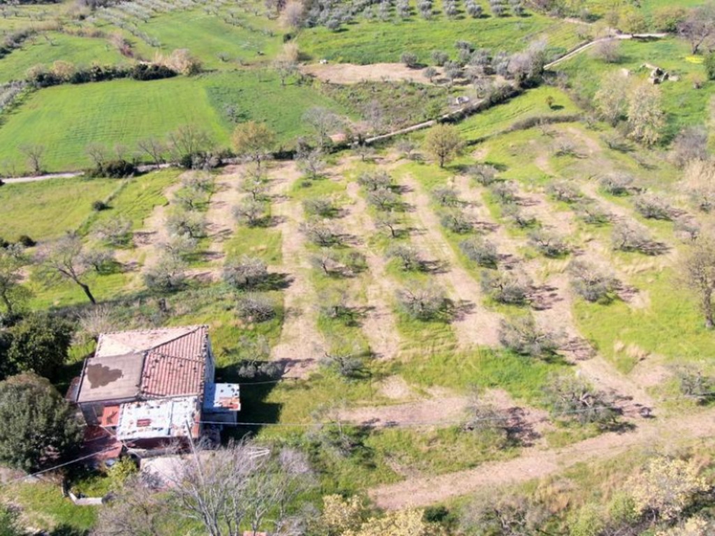 Casale in Via Santo Ianni, Roccadaspide, giardino in comune, 200 m²
