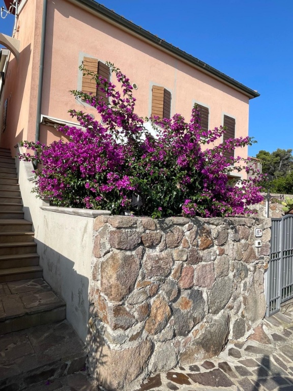 Villa a schiera a Capraia Isola, 4 locali, 3 bagni, giardino privato