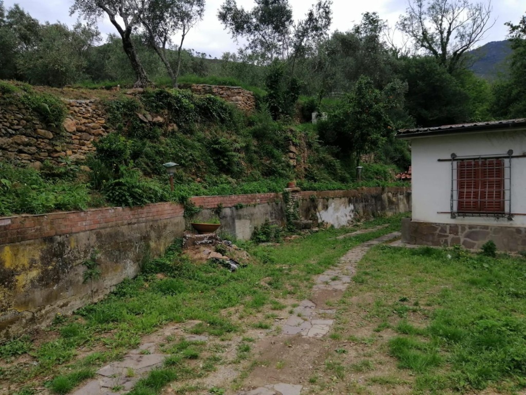 Viareggina a Calci, 4 locali, 1 bagno, giardino privato, 70 m²