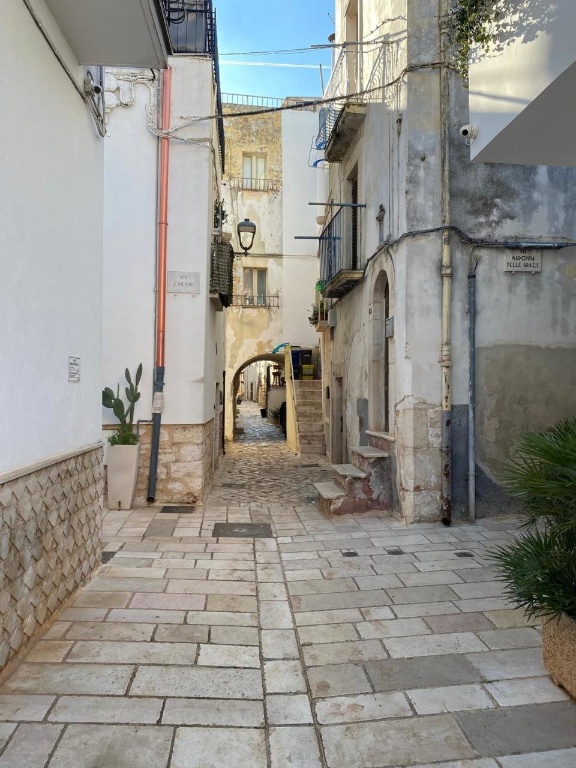 casa indipendente in vendita a Turi