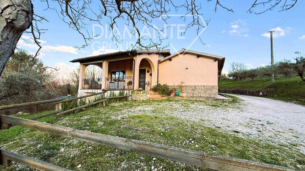 azienda agricola in vendita a Castel Ritaldi