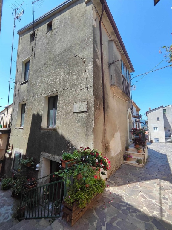 casa indipendente in vendita a Rogliano