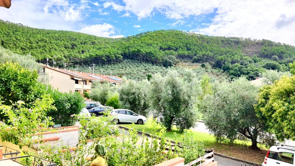casa indipendente in vendita a Calci in zona Villa