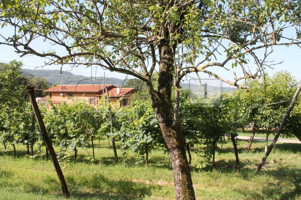 casa indipendente in vendita a Vicenza in zona San Lazzaro/Pomari