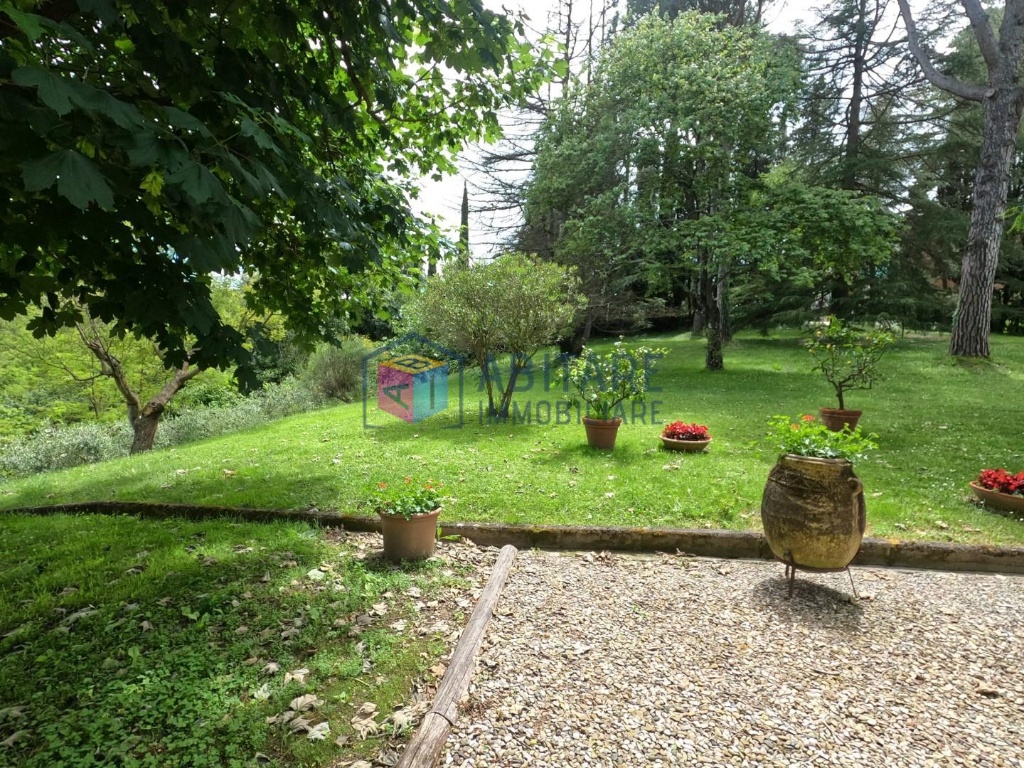 casa indipendente in vendita a Fauglia