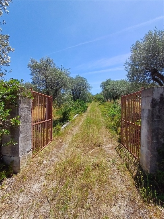 casa indipendente in vendita a Sorso