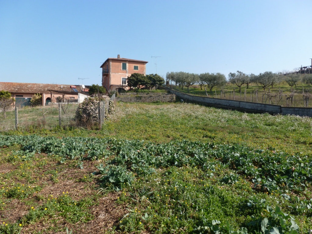 terreno agricolo in vendita a Frascati in zona Prataporci