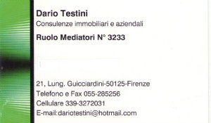 logo Dario Testini Consulenze Immobiliari e Aziendali