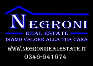 logo Negroni real estate