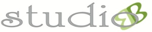 STUDIO B IMMOBILIARE SRL