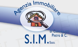logo SIM